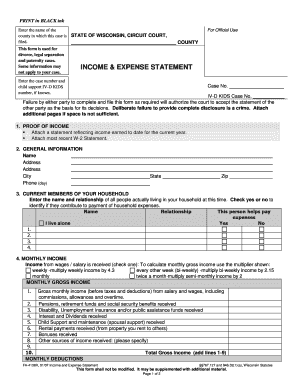 Wisconsin Income and Expense Statement