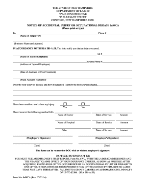 New Hampshire Accidental Injury Notice