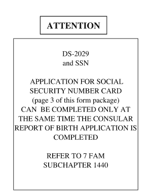 Application for Consular Report of Birth Abroad