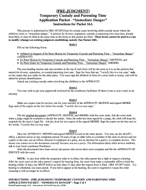 Temporary Custody and Parenting Time Application Packet – Immediate Danger