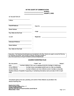 Ohio Shared Parenting Plan