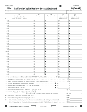 California Capital Gain or Loss Adjustment Form 540NR