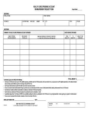 Health Care Spending Account Reimbursement Form