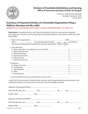 Tennessee Charitable Organization Financial Summary Form