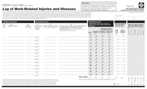 OSHA Form 300 Log of Work-Related Injuries and Illnesses