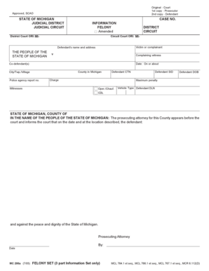 Michigan Felony Information Form