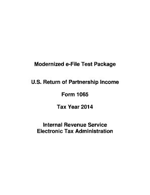US Partnership Income Tax Form 1065