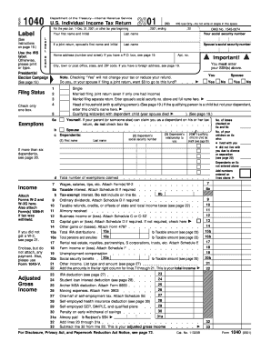 US Individual Income Tax Return 2001