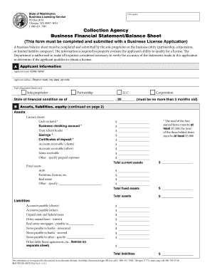 Washington Business Financial Statement Form