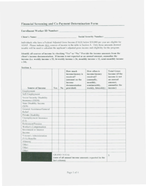 Financial Screening and Co-Payment Determination Form