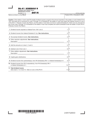 PA-41 Schedule B Dividend and Capital Gains