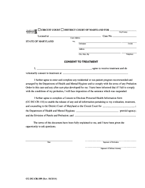 Maryland Consent to Treatment Form