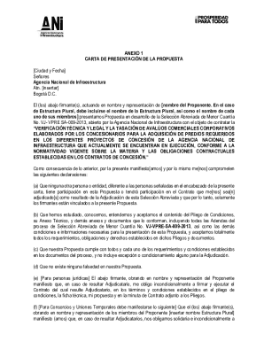 anexo 1 carta de presentacion