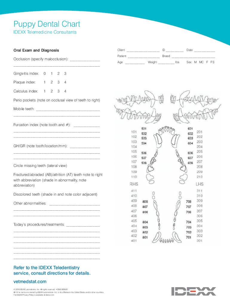 Fillable Online Oral Examination/Dental Charting and Diagnostic Tools
