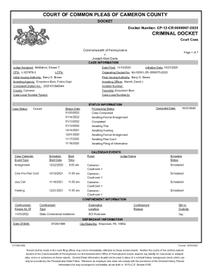 COURT OF COMMON PLEAS OF CAMERON COUNTY CRIMINAL ...