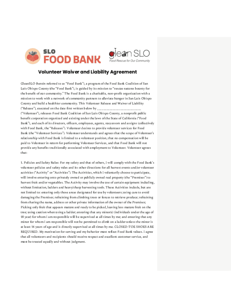 Volunteer Waiver and Liability Agreement Blank Fillable Template