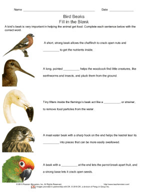 Bird Beaks Fill in the Blank