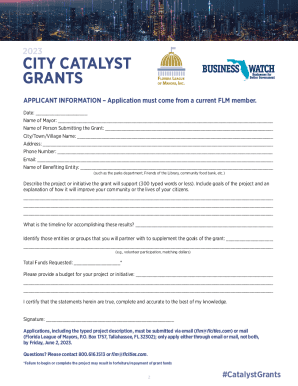 Fillable Online CITY CATALYST GRANTS Fax Email Print - pdfFiller