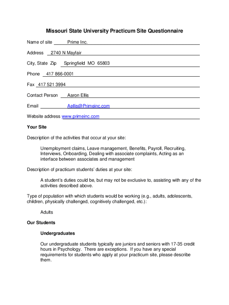 Form preview