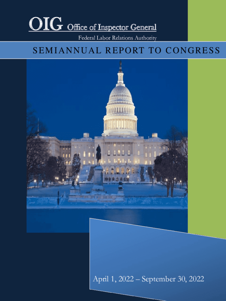 Fillable Online OIG Inspection Reports Fax Email Print - pdfFiller