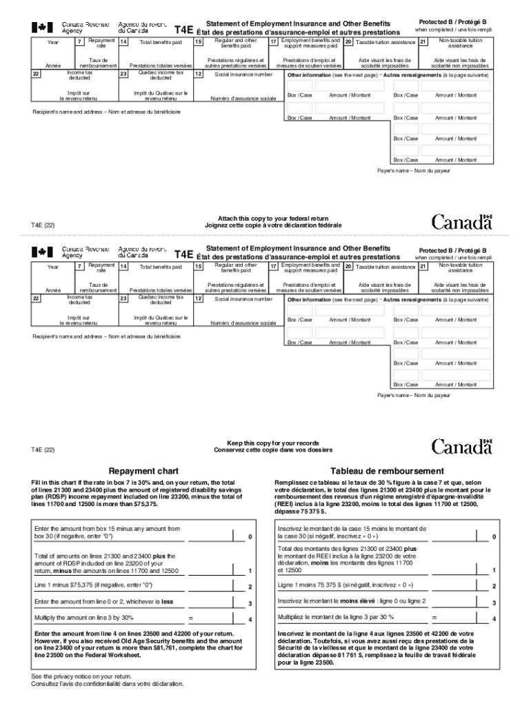 ei benefit statement sample Preview on Page 1