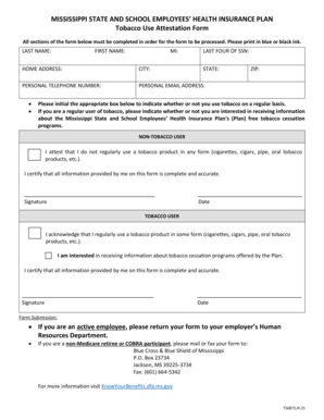 Mississippi Tobacco Use Attestation Form