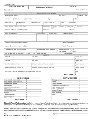 Michigan Financial Statement Form
