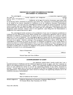 Designation of Agent for Service of Process and Consent to Jurisdiction