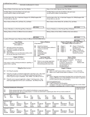 US Bankruptcy Voluntary Petition Form B1