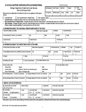 Michigan Child Support Services Application