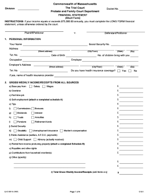 Massachusetts Short Form Financial Statement