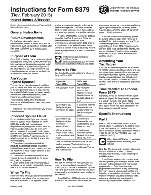 IRS Form 8379 Injured Spouse Allocation