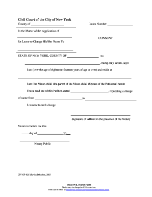 New York Name Change Consent Form