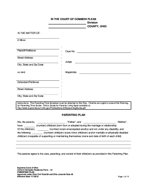 Ohio Parenting Plan Form