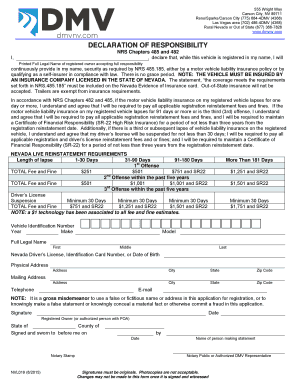 Nevada Declaration of Responsibility