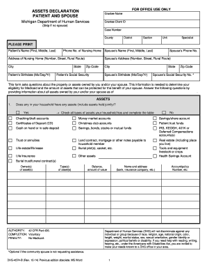 Michigan Medicaid Assets Declaration Form