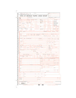Michigan Traffic Crash Report