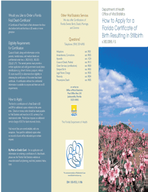 Florida Certificate of Birth Resulting in Stillbirth
