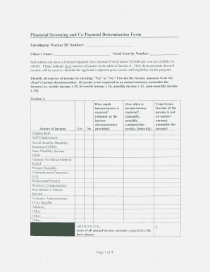 Financial Screening and Co-Payment Determination Form