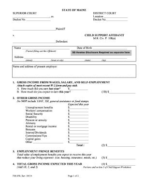 Maine Child Support Affidavit