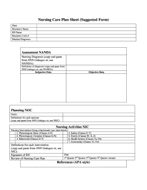 Nursing Care Plan Sheet