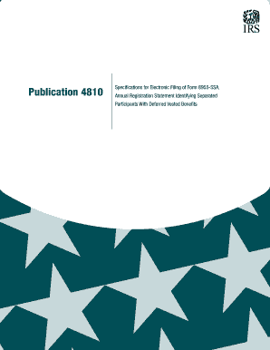 Form 8955-SSA Filing Specifications