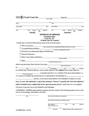 Affidavit of Service for Circuit Court