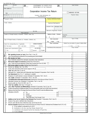 Puerto Rico Corporation Income Tax Return Form 480.20