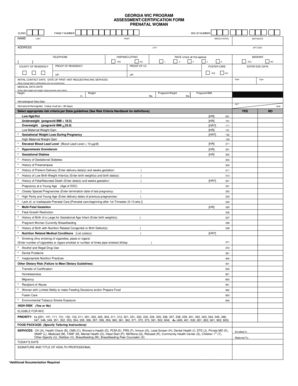 Georgia WIC Prenatal Certification Form