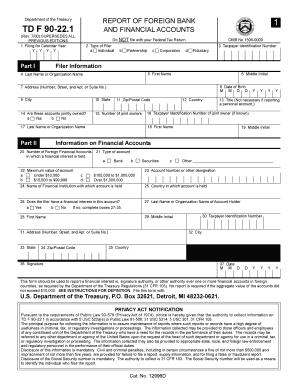 TD F 90-22.1 Foreign Bank and Financial Accounts Report