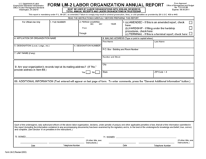 US Labor Organization Annual Report Form LM-2