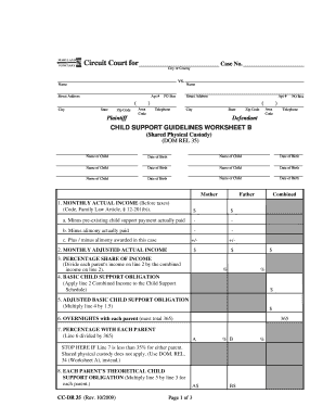 Child Support Guidelines Worksheet B