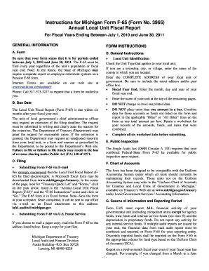 Michigan Annual Local Unit Fiscal Report