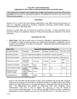 Texas Entity Name Reservation Form 501
